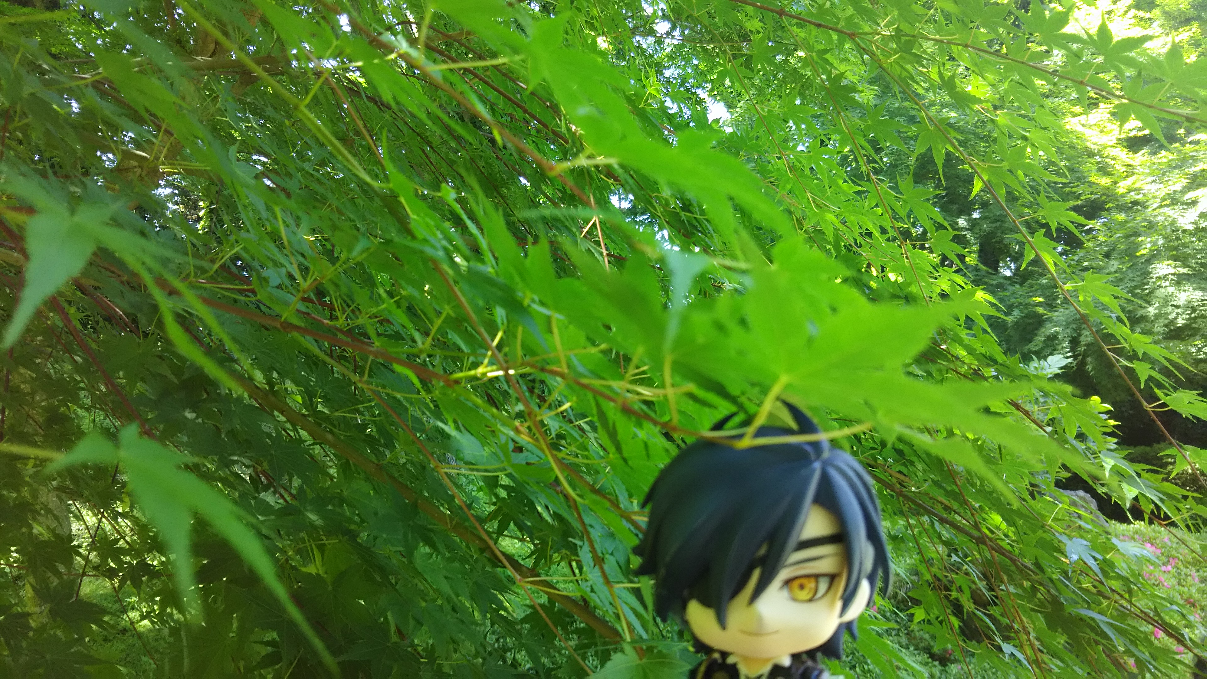 燭へしをただただ語る