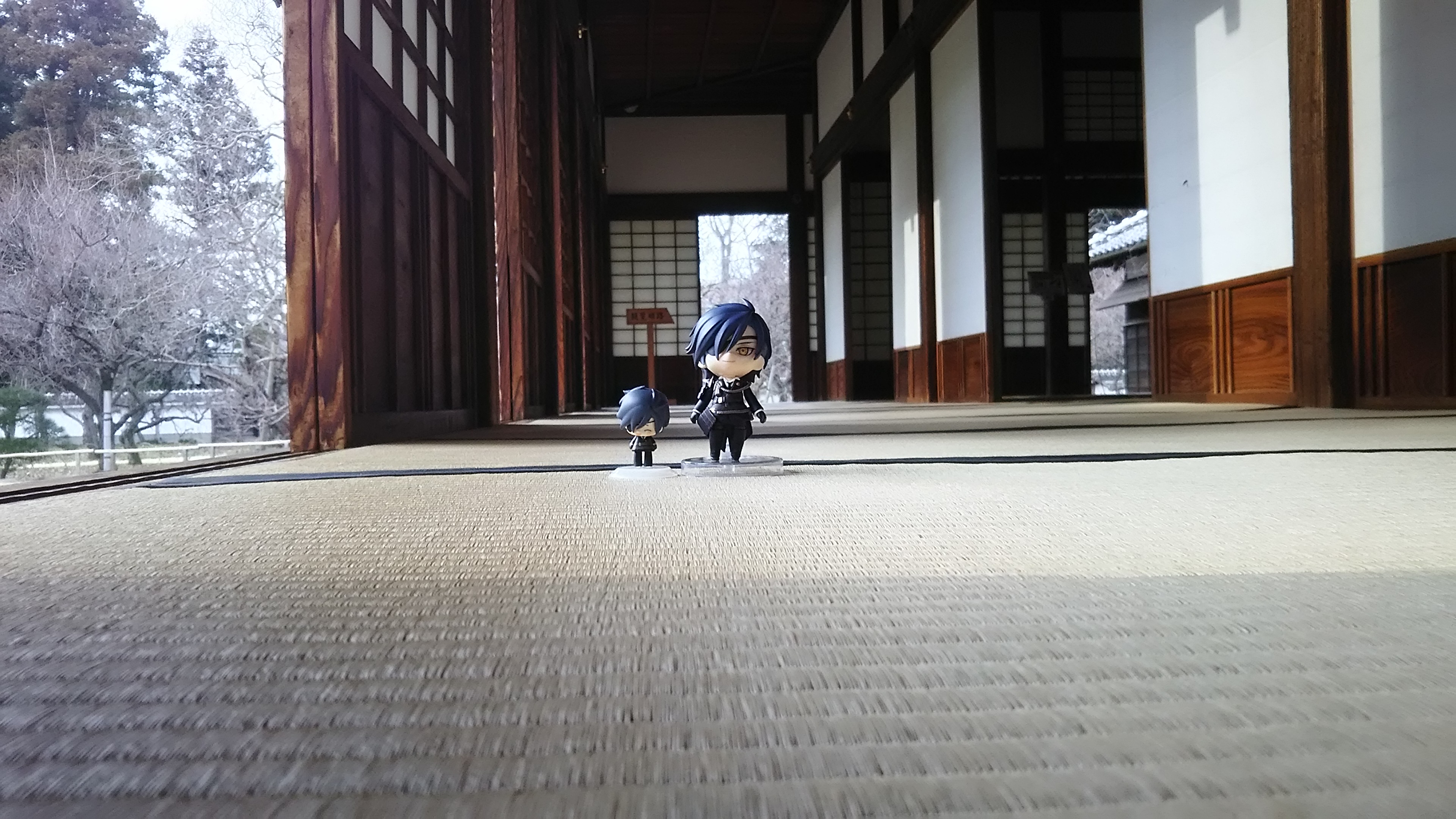 11月の本について