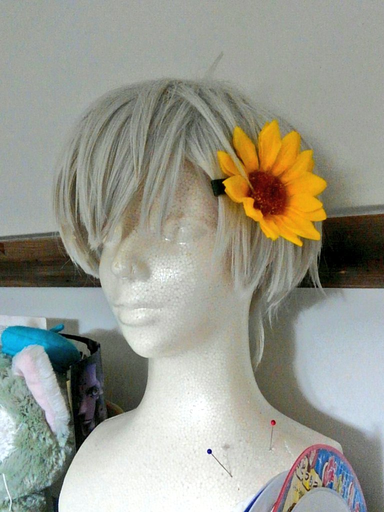 ゾ〜ニングの話