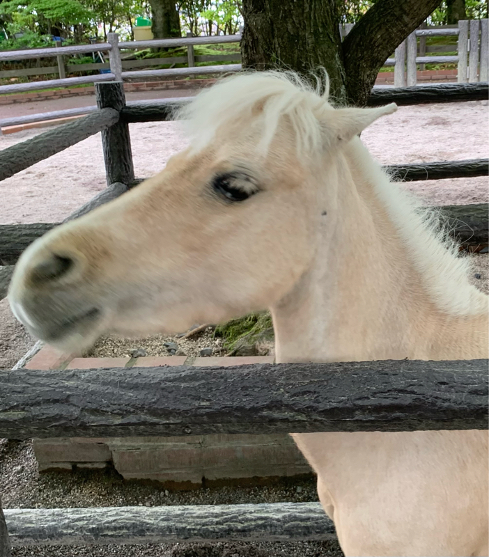 #16 山は舐めたらアカン
