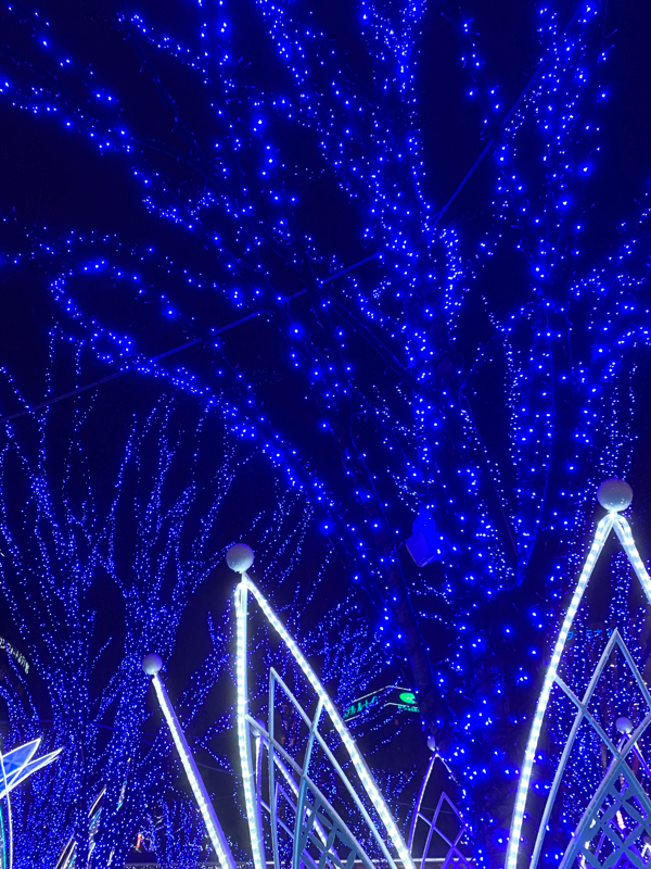#30 いつも通りの日曜日