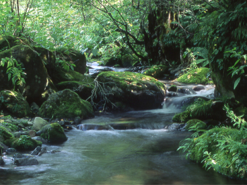 002 レジのおばあちゃん