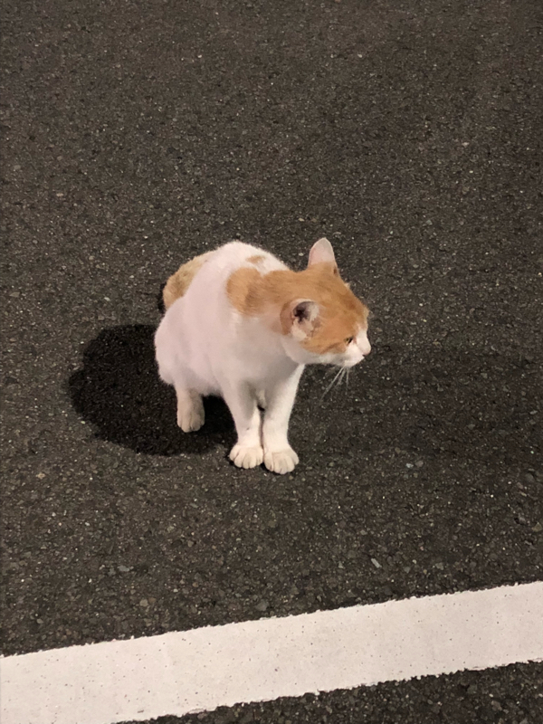 >032「お題ガチャ実装されたからガチャる」11:59