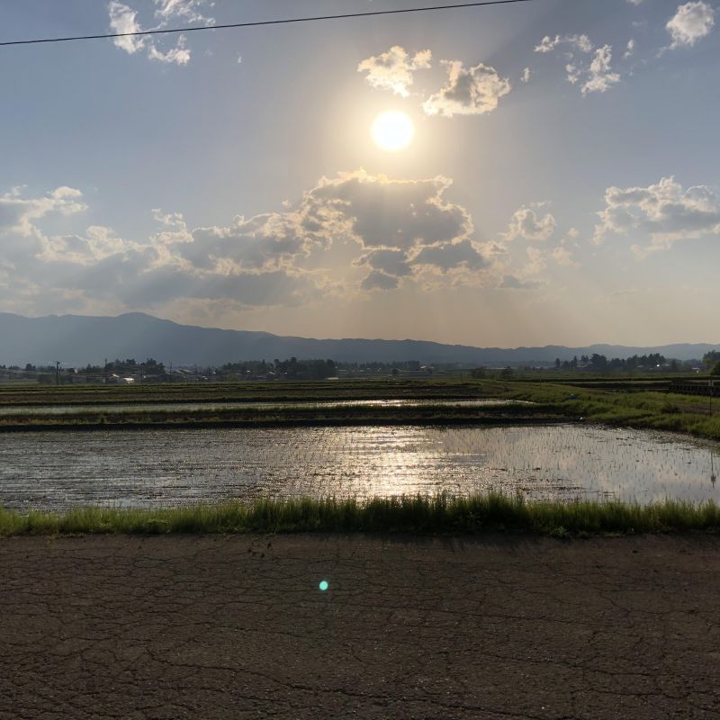 第51回 現状報告とGW旅の話