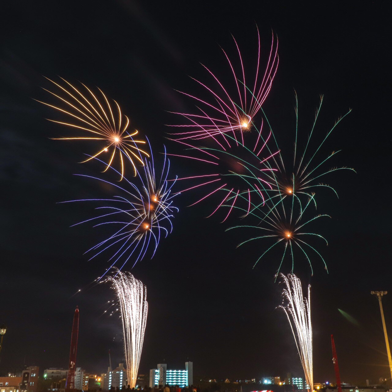 好きなことを語る