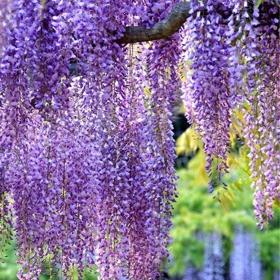 初めまして！自己紹介です。