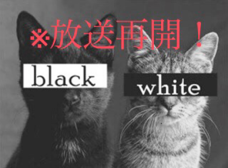 【鬱病だからこその気づき】これも全部「れいわちゃん」の仕業なんだ