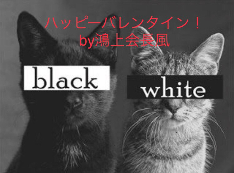 【バレンタイン企画（？）】貰ったチョコの数なら負けねぇけど？？（マウント）