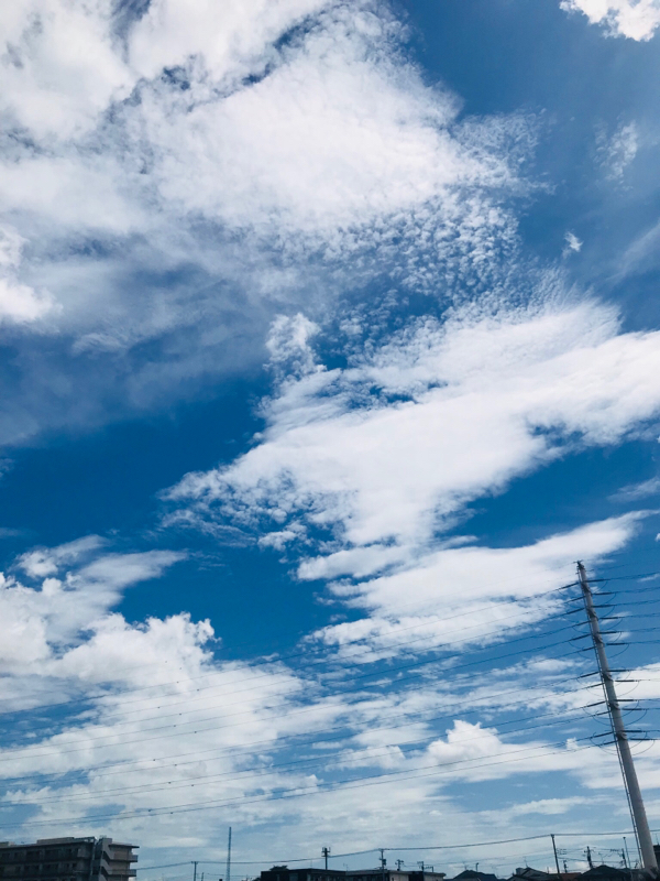 #1 自己紹介とFGOと