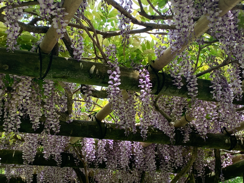 好きパワーゲージ補充