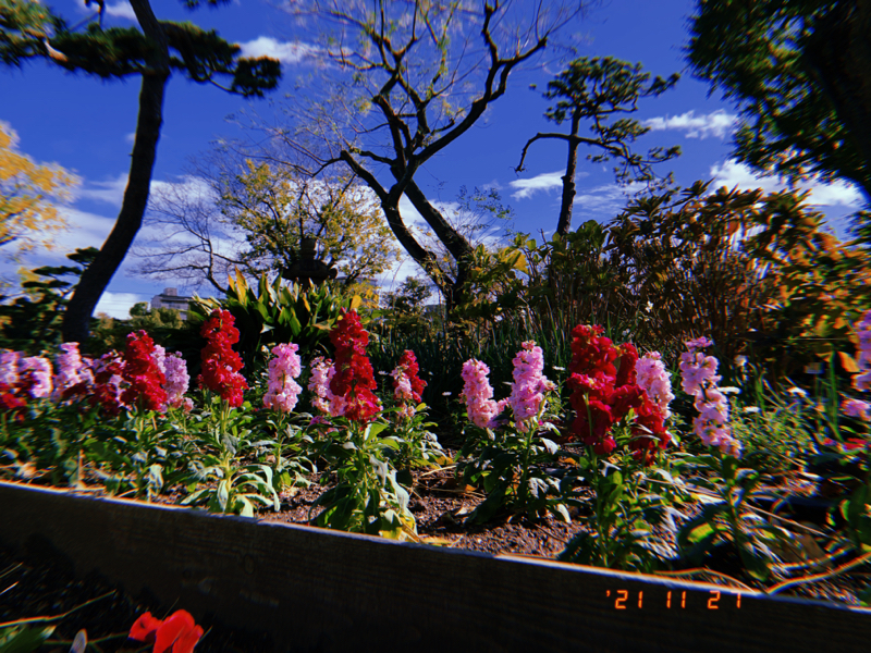 可愛さ雑談 from Radiotalk episode artwork