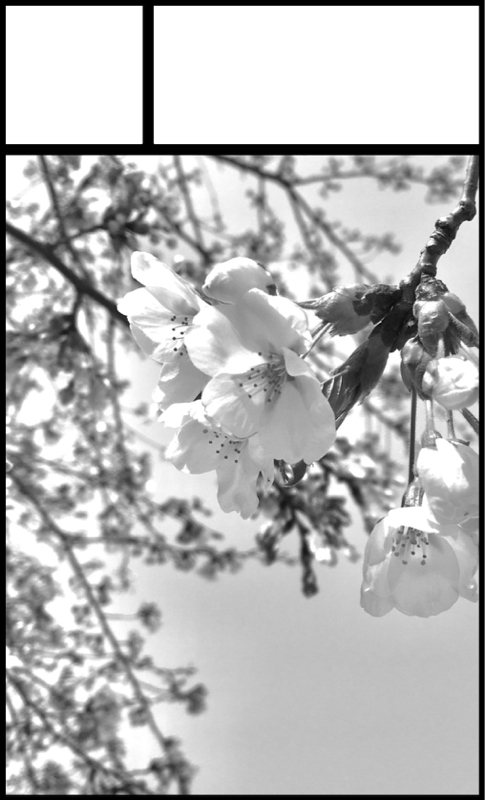 物を書くということ/喪失体験/書けること書けないこと