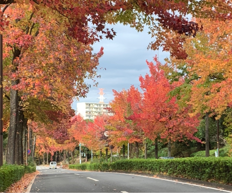 第201回　祝開局200回‼︎記念品プレゼントあります〜！