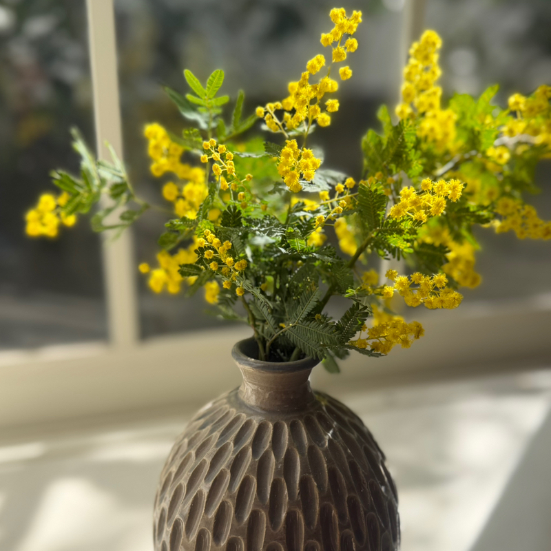 第214回　春といえば…の美味しい話などなど。