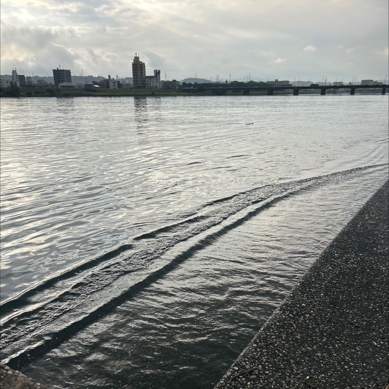 川のほとりから