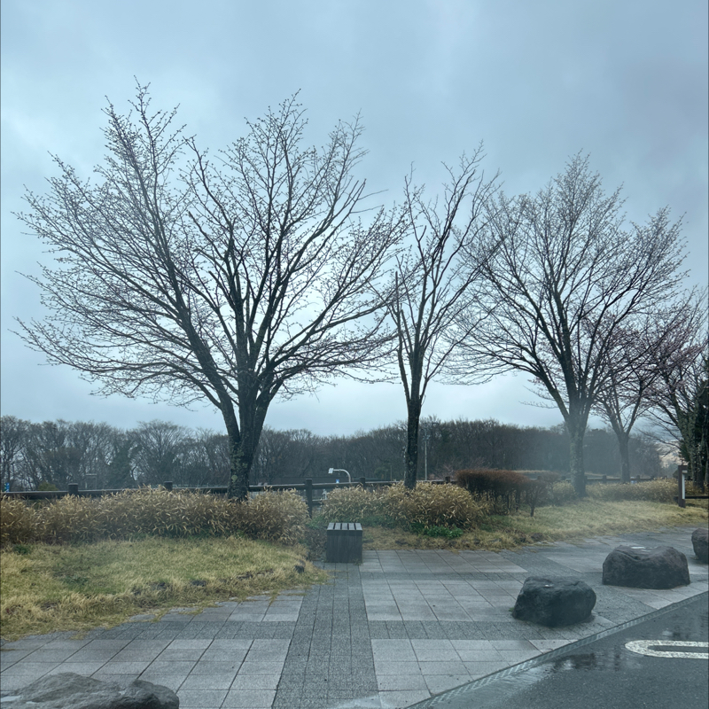 楽しい、美味しい、嬉しい、美しい