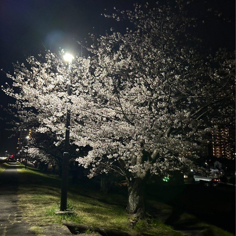 今出来る精一杯