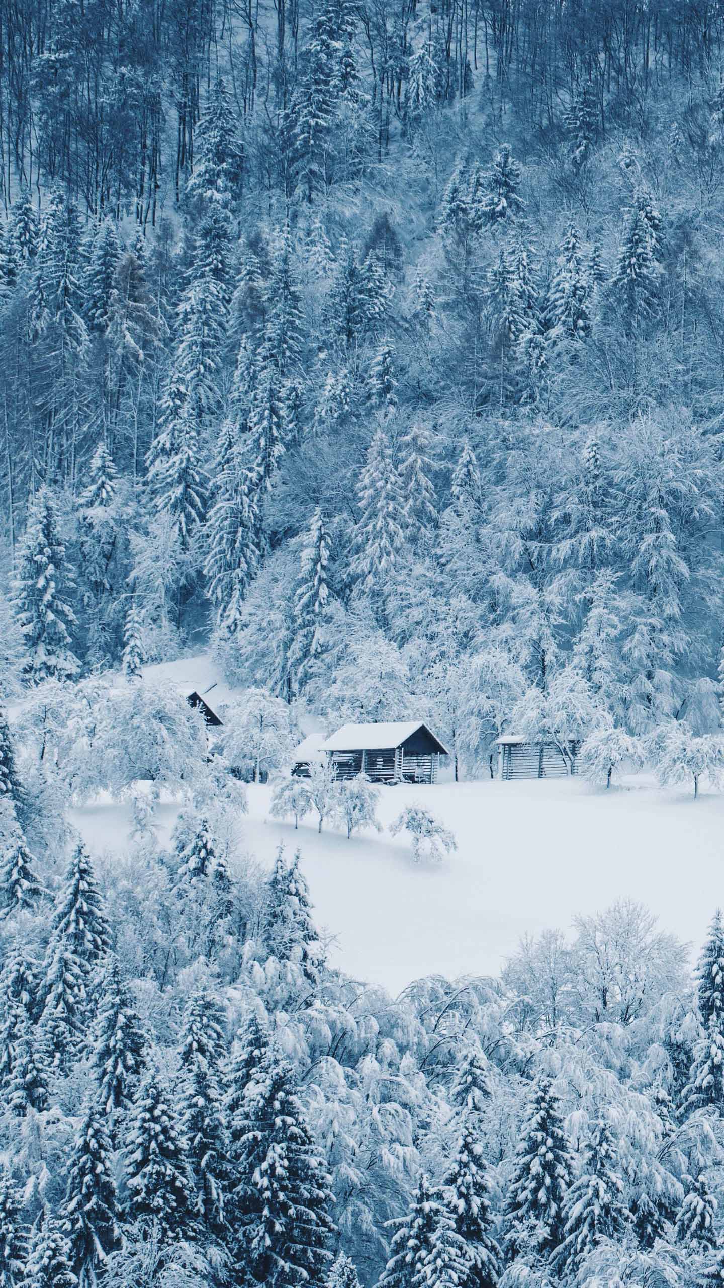 21g 人殺しの心境は