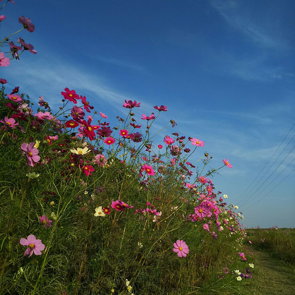 きままにトーク！