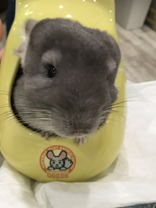 #27.言葉は怖いこと。