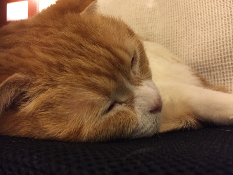 #28.大切に思うこと。