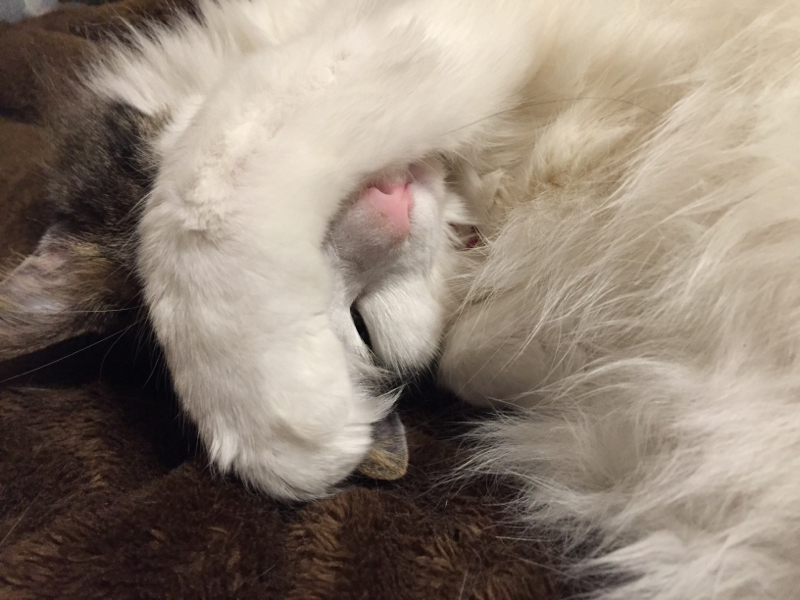 #30.怖いやつは良い奴。