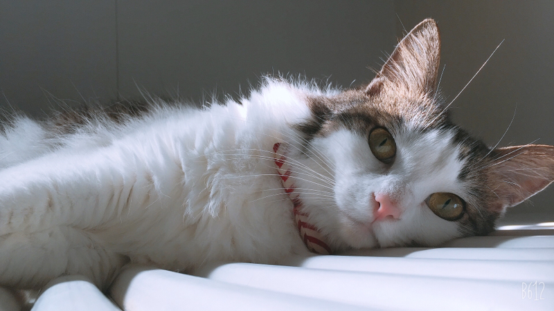 #41.受け取る空気