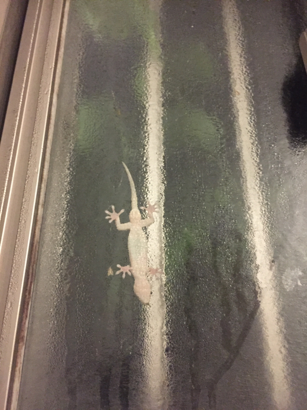 #43.難しいこと。