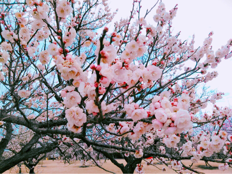 元気すくないね