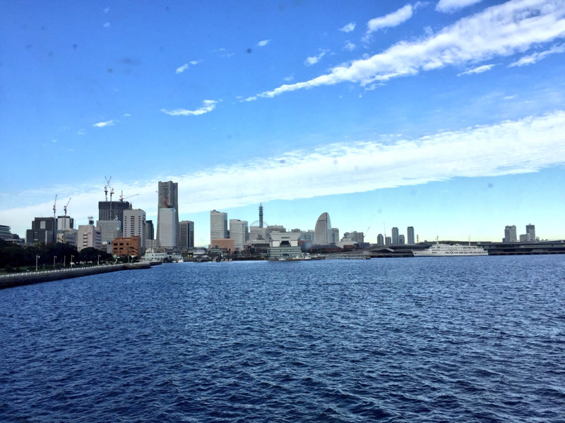 海へ行くつもりじゃなかった