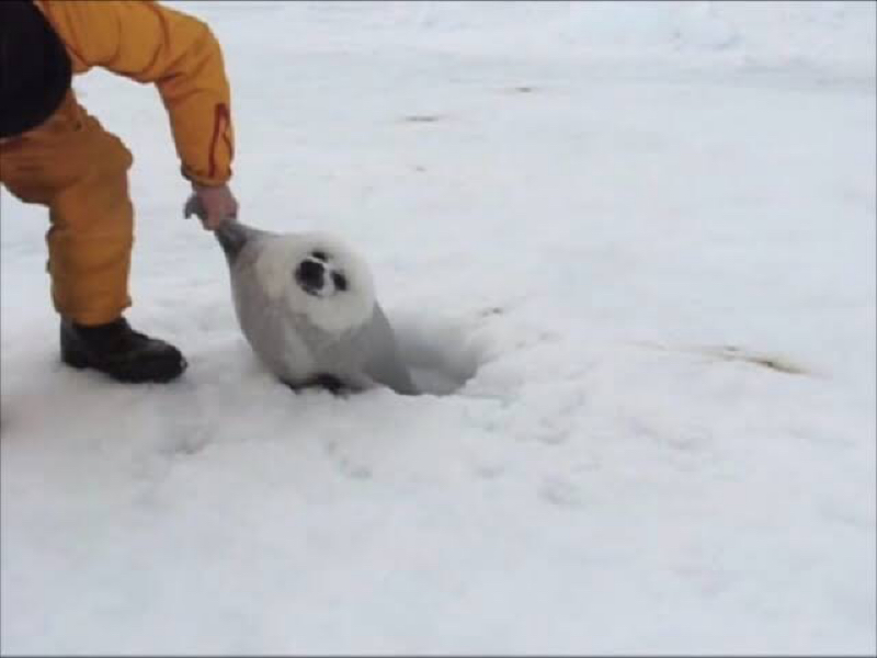 愛をこめて花束をとなんか入ってる