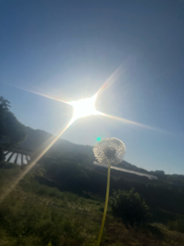 #207 J Kノート見ながら振り返りトーク