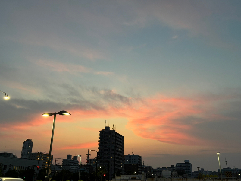 #406 今年の漢字通りに