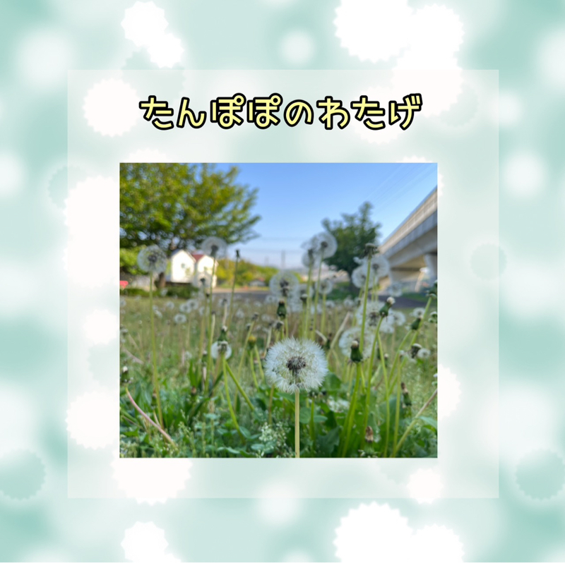 #409 あややんの新月ワークからの気づき