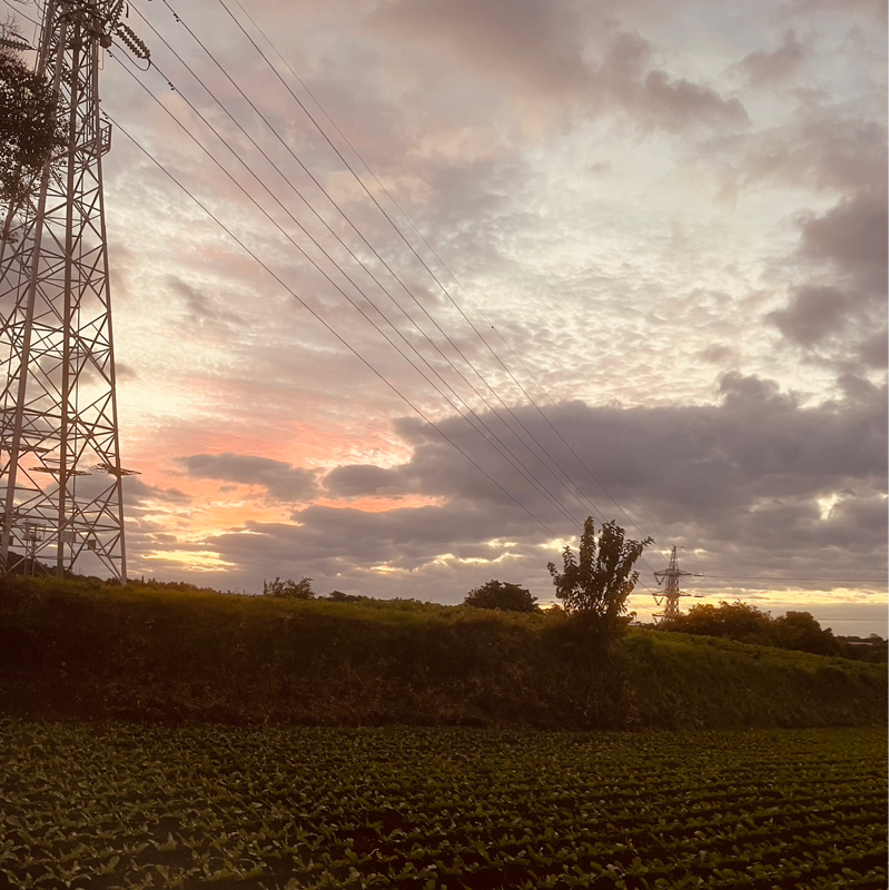 #415    今日は、どんな心で過ごした？