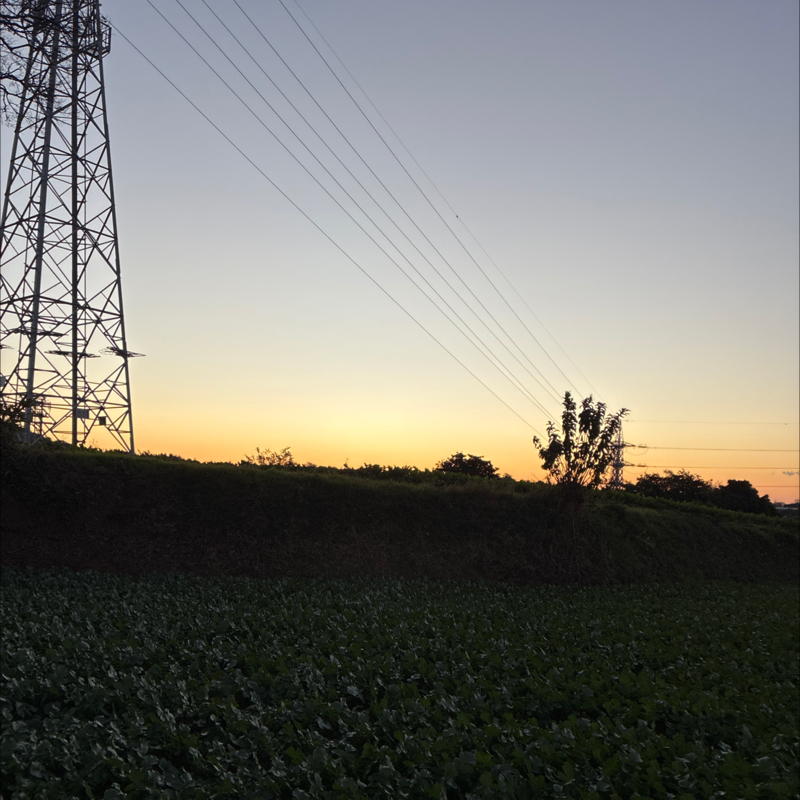 #来年の漢字は、これだ❣️