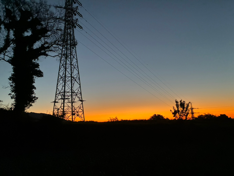 #419 天然自然の理