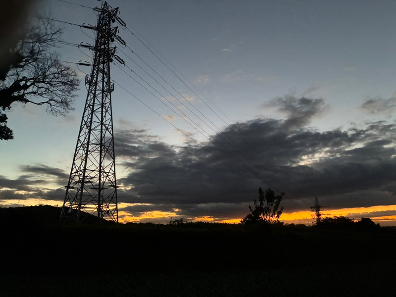 #421 次男の話と今日の予定