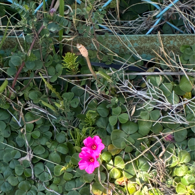 #429 やる気の伝染が凄い❣️