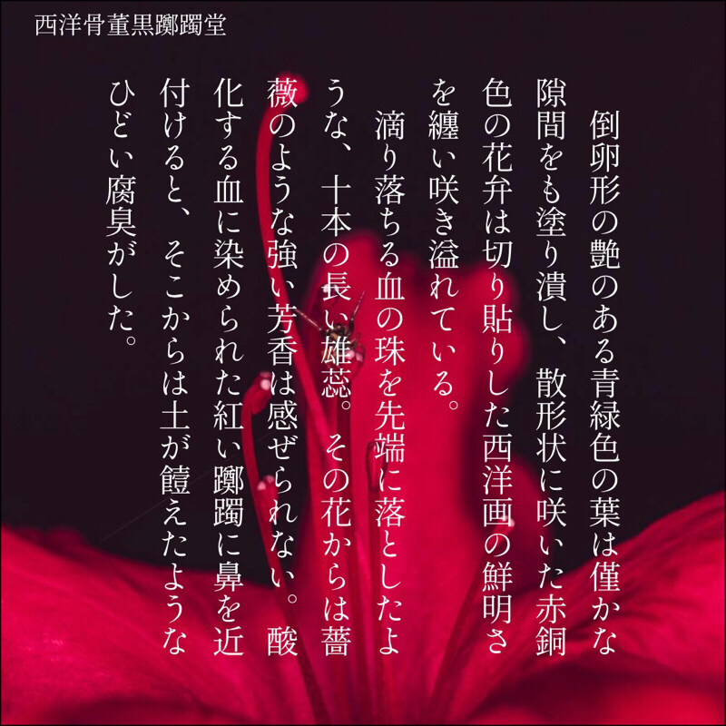 #１８ 西洋骨董黒躑躅堂