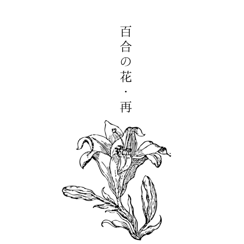 #２２ 百合の花・再