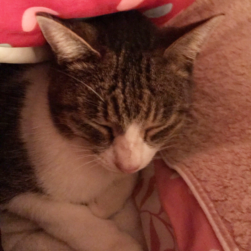 おかねのおはなし