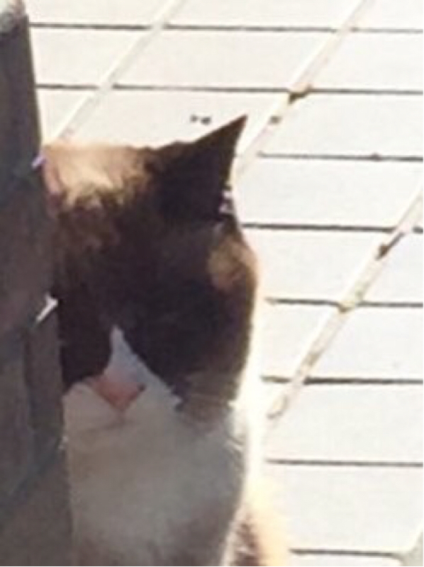 #1 はじめまして