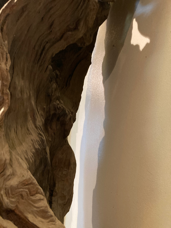 ひとりごと( ´-` ).｡oO- ̗̀ ☺︎ ̖́-on  Sunday🌳