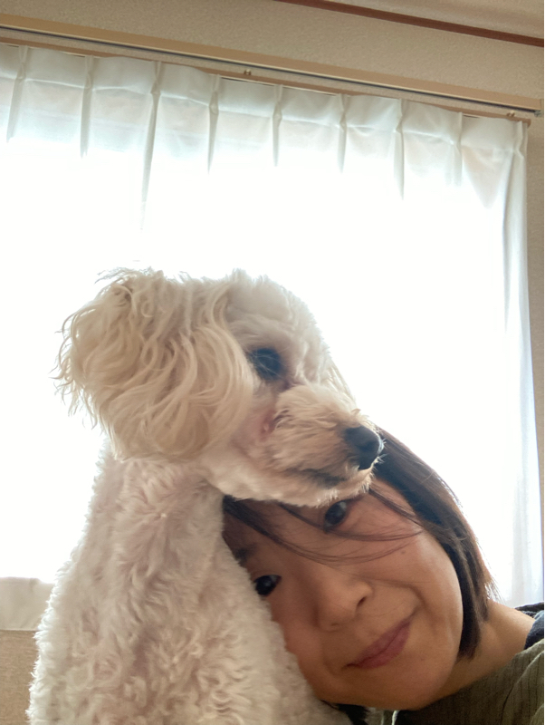 今日のコーチングセッションの気付き