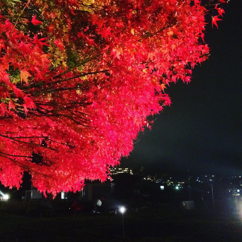 #6  こいばな（笑）