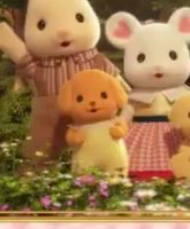 ヤンクミ〜〜〜〜！！！😭