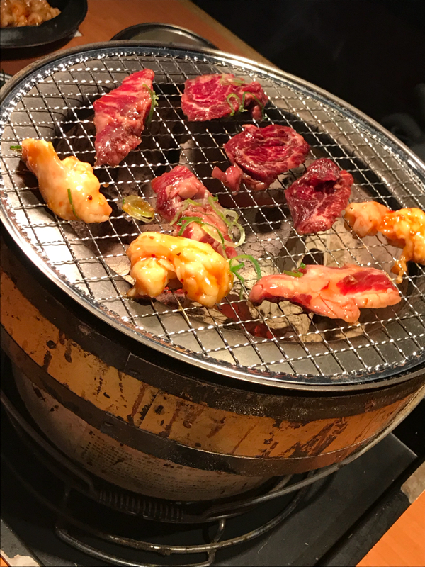 桜の開花を待つヂカプ