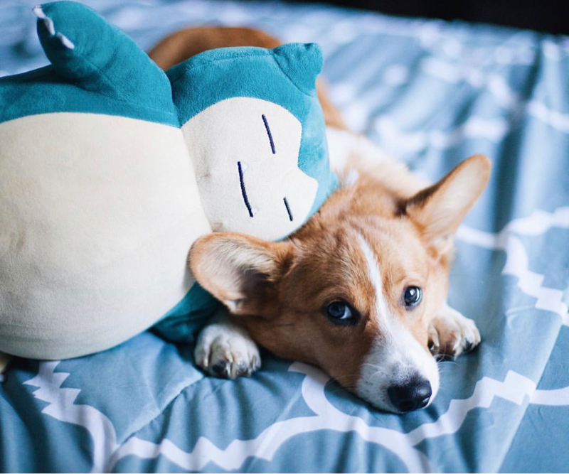 001 はじめての投稿