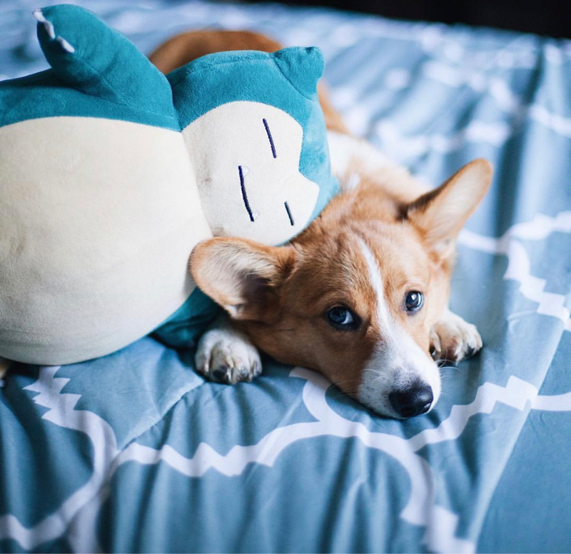 002 最近見たアニメとか